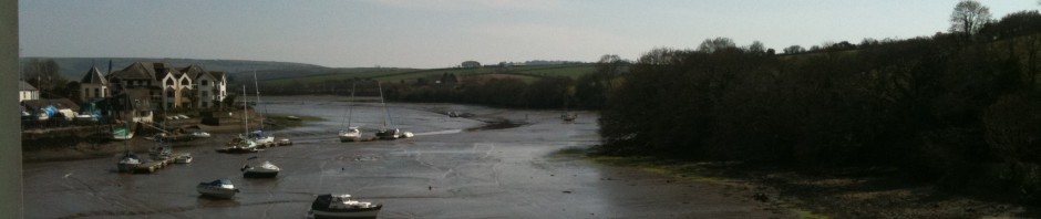 Musings and Witterings of a Bloggice